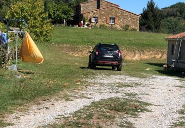 Trail Walking Saint-Martin-de-Crau - Tour du lac de mondely - Photo