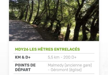 Trail Walking Malmedy - 2025-08-06_20h01m31_Cirkwi-Malmedy_26_-_Les_hêtres_entrelacés - Photo