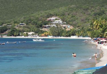 Randonnée Marche Anse d'Arlet - Morne Champagne depuis le Bourg Anse d'Arlet - Photo