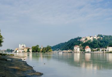 Randonnée A pied Freinberg - Passaublick-Severinsweg - Photo