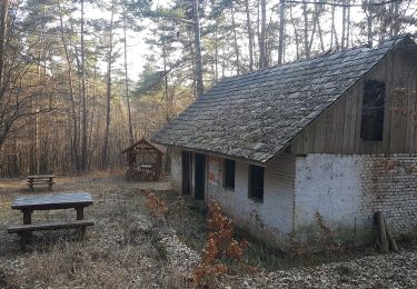 Excursión A pie Bódvaszilas - PT (Alsó-hegyi zsombolyos tanösvény) - Photo