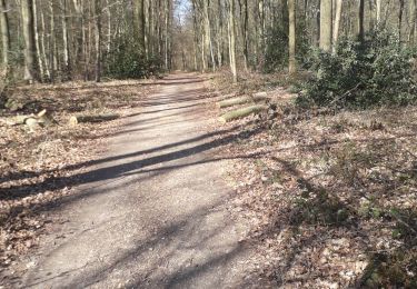 Tour Wandern Mont-Saint-Aignan - Mont-saint-aignan- Chasse marée. sens inversé- 13km - Photo