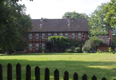 Tour Zu Fuß Eschede - Südheide 'Reine Luft zu sehen' W18m (mittlere Tour) - Photo