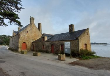 Trail Walking Arzon - PR_56_Arzon_BA_02_Butte-De-Cesar_Circuit1b_20240217 - Photo