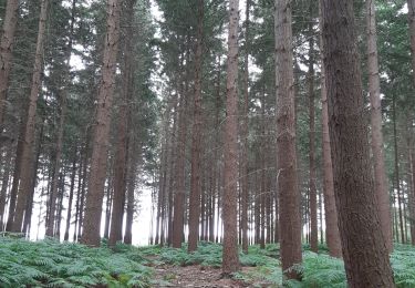 Tocht Stappen Brionne - Brionne-Harcourt - Photo