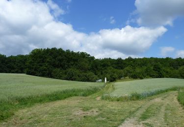 Percorso A piedi Čebín - Čebín - Zlobice - Photo