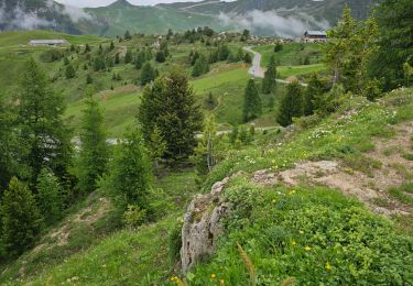 Randonnée Marche La Plagne-Tarentaise - Plagne Soleil, Dou du Praz, Plagne centre  - Photo