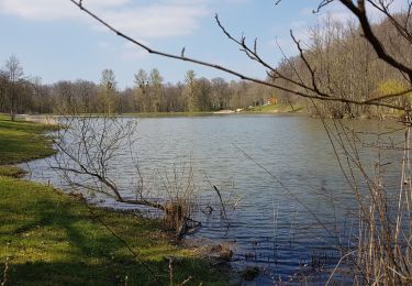 Randonnée Marche Bulgnéville - Bulgneville : Sur les traces du passé - Photo