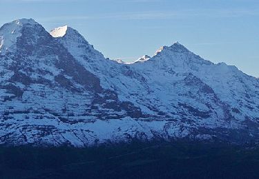 Randonnée A pied Grindelwald - First - Bachalpsee - Fauhlhorn - Schynige Platte - Photo