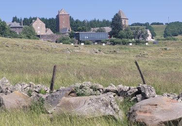 Excursión Senderismo Saint-Chély-d'Aubrac - st chely aubrac - Photo