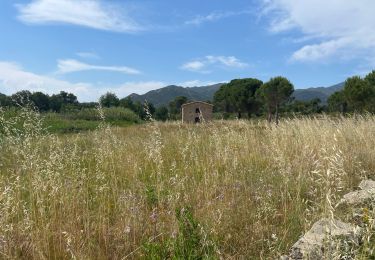 Percorso Marcia Cantallops - Cantaloup  - Photo