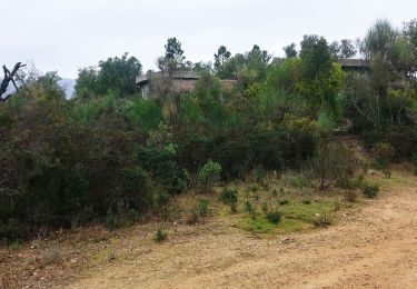 Randonnée Marche Roquebrune-sur-Argens - ROQUEBRUNE-Le pas de l' Eouvé- MBO - Photo