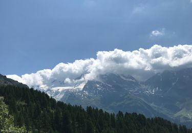 Tocht Stappen Sainte-Foy-Tarentaise - Du haut du TS grand plan vers arpettaz charme très  - Photo
