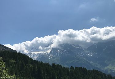 Trail Walking Sainte-Foy-Tarentaise - Du haut du TS grand plan vers arpettaz charme très  - Photo