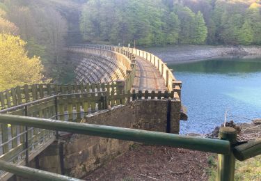 Randonnée Marche Urrotz - Sommets et lacs de Leurtza depuis Urrotz. - Photo