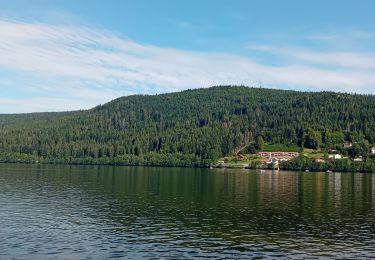 Trail Walking Gérardmer - Gérardmer - Photo