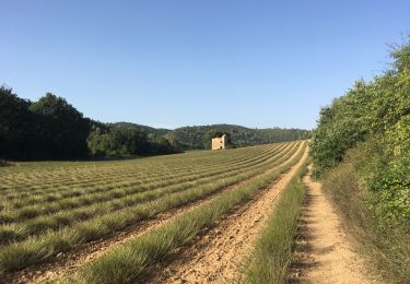 Trail Walking Gréoux-les-Bains - 2019 09 16 château Laval et marchand - Photo