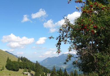 Tour Zu Fuß Schleching - Gamsweg - Photo