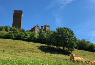 Tocht Stappen Saint-Céré - Château ST Laurent - Photo