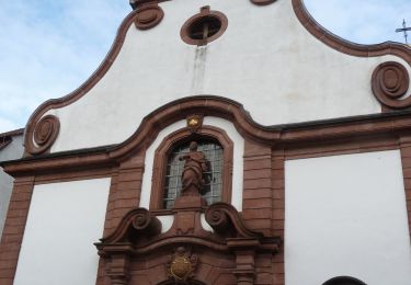 Tour Zu Fuß Neckarsteinach - Rundwanderweg Neckarsteinach Kaisereiche 11: Mannheimer-Hütten-Weg - Photo