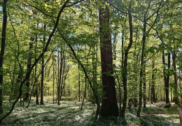 Tour Wandern Florennes - Morialmé - Photo