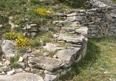 Trail Walking Saint-Pantaly-d'Excideuil - Boucle des Causses verts  - Photo