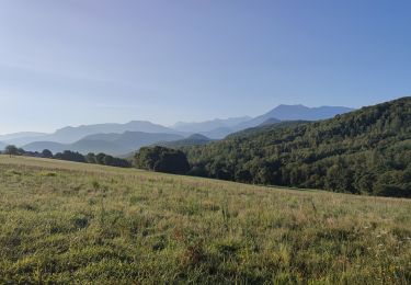 Excursión Senderismo Aspret-Sarrat - Aspret-Sarrat - Photo