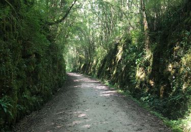 Trail Hybrid bike Castelnau-Durban - Castelnau - St Girons - Photo