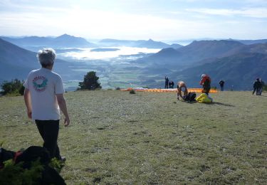 Trail Walking La Haute-Beaume - R49  La Haute Beaume - Photo