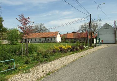 Randonnée A pied Řevnice - [Ž] Červený kříž - Řevnice - Photo