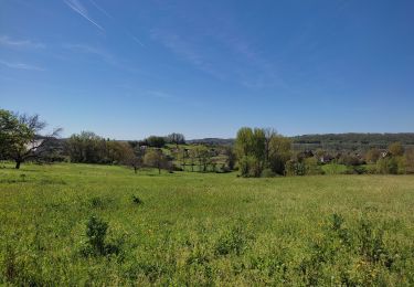 Randonnée Marche Peyrignac - boucle de la nuelle  - Photo