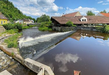 Randonnée A pied Gemeinde Zwettl-Niederösterreich - Naturfreundeweg 3 Zwettl-Uttissenbach - Photo