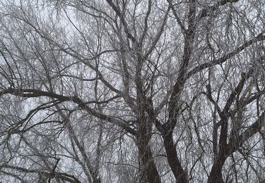 Tocht Stappen Verlaine - champon - Photo
