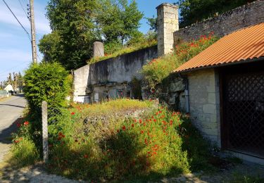 Percorso Marcia Parçay-Meslay - 2019.05.23-8.8km-Parçay Meslay le Sud - Photo