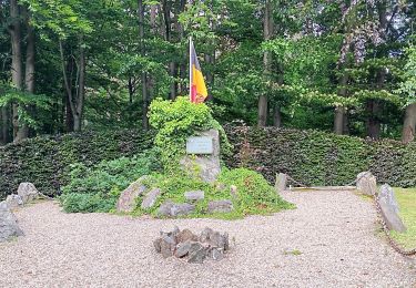 Trail Walking Theux - autour du Maquisart - Photo