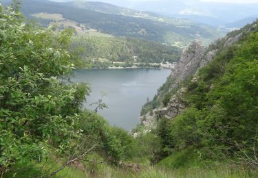 Randonnée Marche Orbey - Les 3 lacs Hautes huttes Orbey A pied - Photo