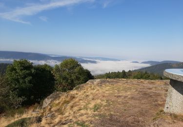 Excursión Marcha nórdica Vagney - MN vagney haut du tôt 20220828 - Photo