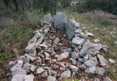 Randonnée Marche Ferrières-les-Verreries - mas baume asphodele - Photo