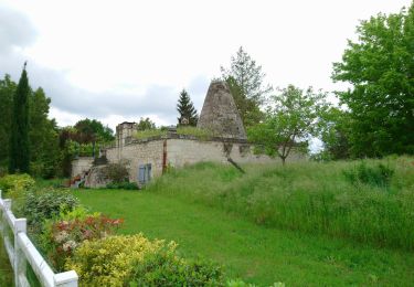 Percorso Marcia Chouzé-sur-Loire - Chouzé-sur-Loire - PRs Varennes-sur-Loire - 23.9km 130m 5h35 (40mn) - 2023 05 08 - Photo