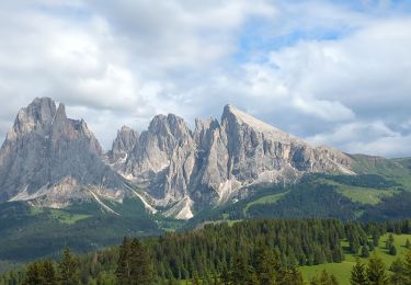 Percorso Marcia Castelrotto - Alpe Di siusi - Photo