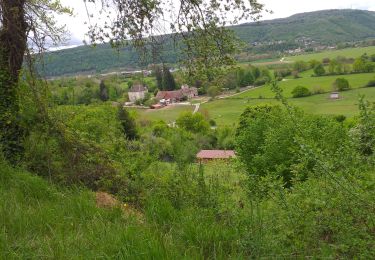 Percorso Marcia Thise - pethise (petit thise) - Photo