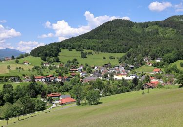 Tour Zu Fuß Gemeinde Prigglitz - Rote Wand Rundweg - Photo