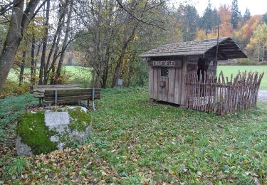 Randonnée A pied Brennberg - Goldsteigzubringer Höllbachtal - Photo