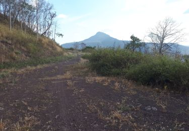 Tour Wandern  - NKM Bouddha Doré  - Photo
