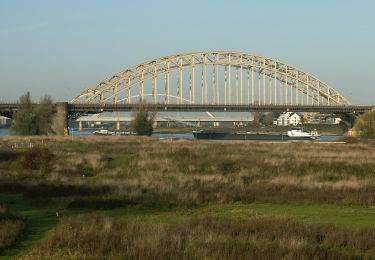 Randonnée A pied Nimègue - Wandelroute Ooijpolder - Photo