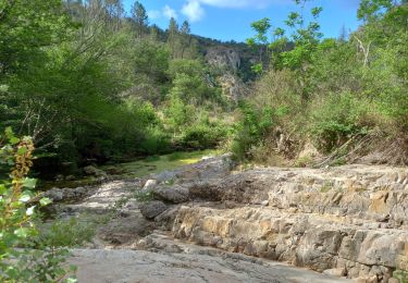 Tour Wandern Seillans - Lac de Méaulx - Photo