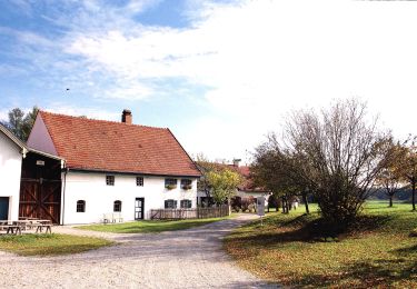 Tour Zu Fuß Schöngeising - Kreuzweg - Photo