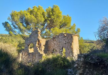 Randonnée Marche La Valette-du-Var - tourris la valette - Photo