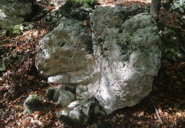 Percorso A piedi Fernitz-Mellach - Josef Krainer Wanderweg - Photo