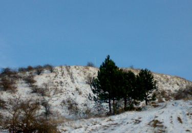 Randonnée A pied Neszmély - Piros négyzet (Neszmély - Dunaszentmiklós - Látó-hegyi szőlők, településhatár) - Photo